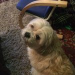 john meechan - @meechan_john - Instagram