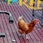 John Meechan - @johnme99 - Instagram