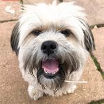 John Meechan - @johnmeechan1969 - Instagram
