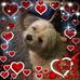 John Meechan - Facebook