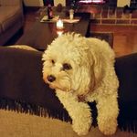 John Mehan - @johnwmehan - Instagram
