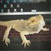John Mehl - Facebook