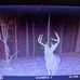 John Meinert - Facebook