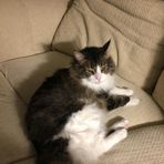 John Melchior - Facebook
