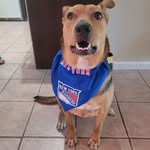 John Melfi - @melfi6825 - Instagram