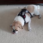 johnmarie345 - @johnmelissa345 - Instagram