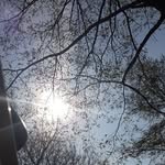John Melis - @john.melis.315 - Instagram