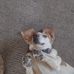 John Mellinger - Facebook