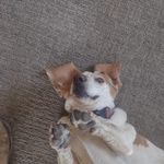 John Mellinger - @mellinger7393 - Instagram