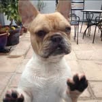John Mellis - @johnrmellis - Instagram