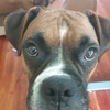 johnmengel915 - @johnmengel915 - TikTok