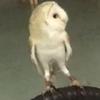 john - @johnsmagicmerkin - TikTok