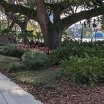 John Merladet - @johnmerladet - Instagram