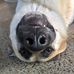 John Merlino - Facebook