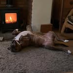 John Edwards - @johnmessenger - Instagram