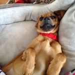 John Messer - @messerized - Instagram