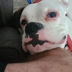 John Meszaros - @meszaros_john - Instagram