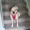 johnmeszaros537 - @johnmeszaros537 - TikTok