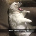John Metzner - @johnmetzner2626 - Instagram