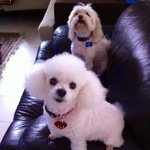 John R Metzner - @jhonci821 - Instagram