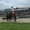 Dallas Johnmeyer - @d.johnmeyer - TikTok