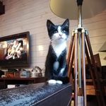 John - @john_miaou - Instagram