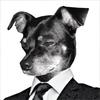 John Michelletti - @johnmichelletti - TikTok