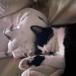 John Midgette - @johnmidgette - Instagram