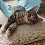 John Midgley - @midgleyjohn - Instagram