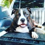 John Mihoch - @johnmihoch - Instagram