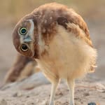 Jhan Mikelson - @john.mikelson.6686 - Instagram