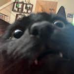 John miklos - @jmiklos0223 - Instagram