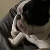johnnymiklos - @johnny.miklos - TikTok