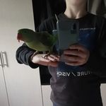 John Milan - @69_milosek_69 - Instagram