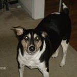 John Miley - @miley4065 - Instagram