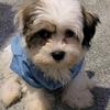 johnmiley193 - @bruce122521 - TikTok