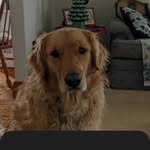John Millard - @johnmillard63 - Instagram