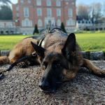 John Millard - @johnnywellard1968 - Instagram