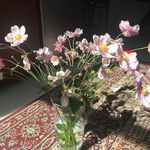 John Millard - @r.johnmillard - Instagram