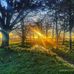John Millward - Facebook