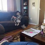 John Minney - @minneyjohn - Instagram