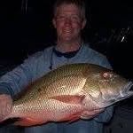 John Minns - @fisherminns - Instagram