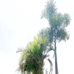 John Sayson Miras - Facebook