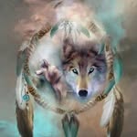 John Mishler - @jm842016 - Instagram