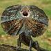 John Moaki - Facebook