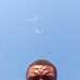 John Mohlala - Facebook