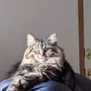 John Molander - @john.molander3 - TikTok