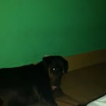 john molano - @molano3556 - Instagram