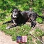 John Moler - @moler7288 - Instagram