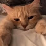 Johnn Robert Molera - @johnmolera - Instagram